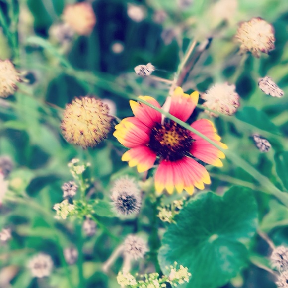 Meet your Posher, Kimberly - Picture 1 of 1